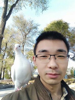 李  哲 老师